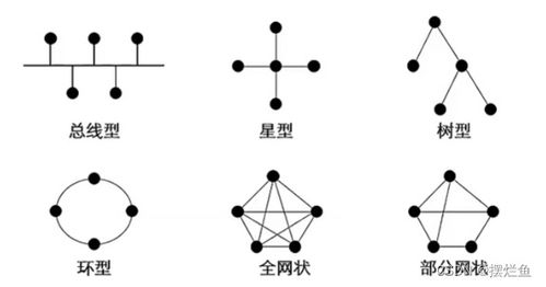 計算機網(wǎng)絡(luò)技術(shù)概覽 從基礎(chǔ)概念到現(xiàn)代應(yīng)用